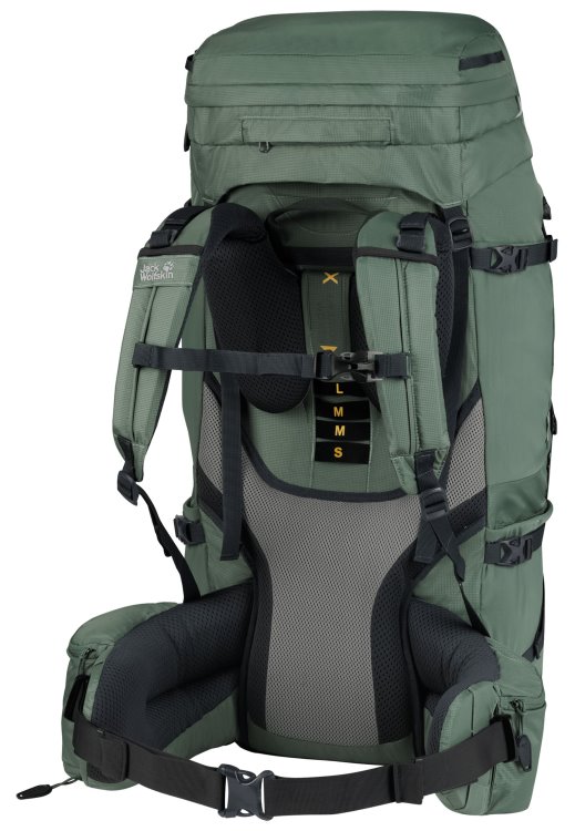 Fashion Denali 65+10 Women Brand Jack Wolfskin Hedge Green