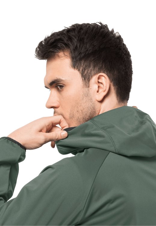 Hedge Green Feldberg Hoody M Origins Brand Jack Wolfskin