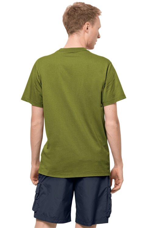 Green Tea Collections 365 T M Brand Jack Wolfskin