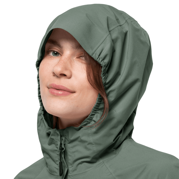 Brand Jack Wolfskin Fashion Women's Tasman Peak Jacket Hedge Green