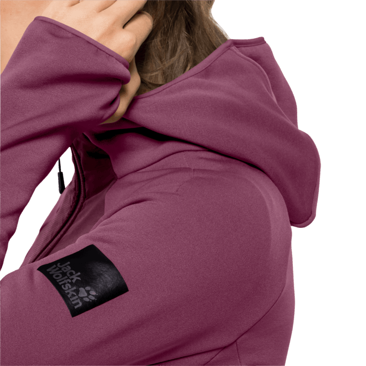 Brand Violet Quartz Brand Jack Wolfskin Women's Tasman Cloud Fleece