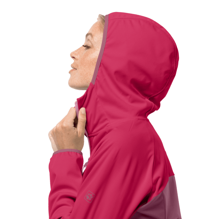Violet Quartz Brand Jack Wolfskin Women's Go Hike Softshell