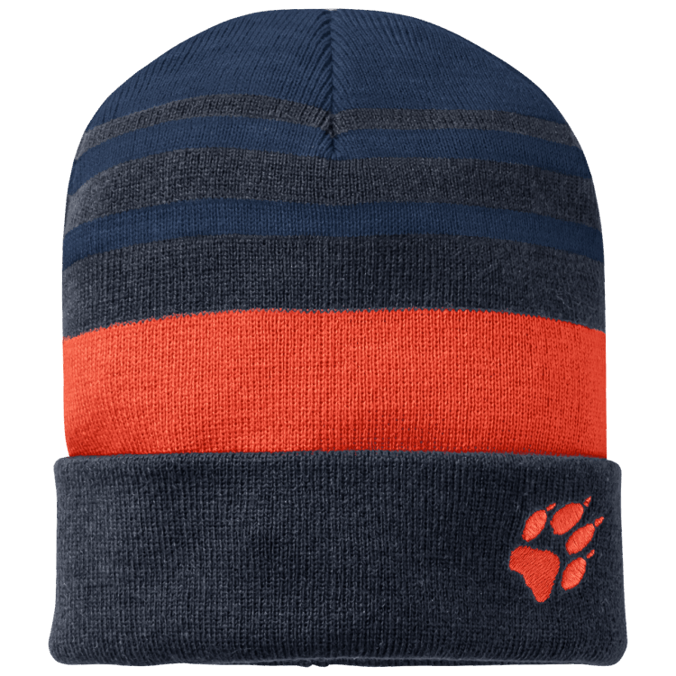 Brand Jack Wolfskin Active Blue Collections Kid's Stripy Knit Cap